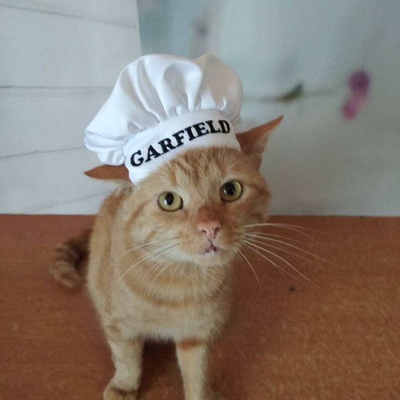 cat chef costume