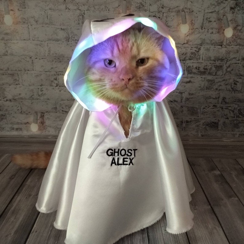 Ghost Halloween Costumes  Ghost for cat  Halloween Glowing image 6