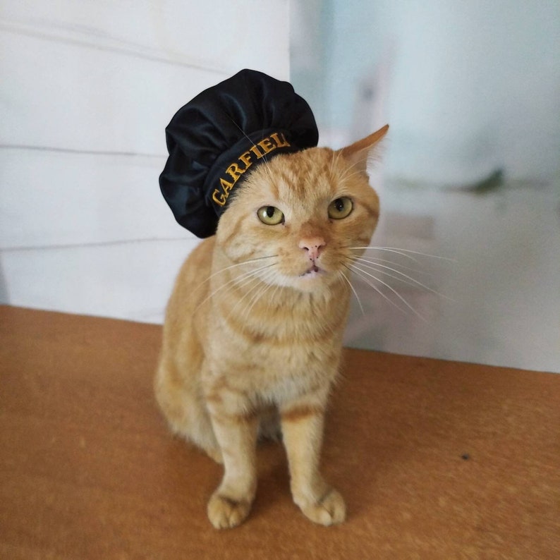 Chef Hat for Cat Personalized Chef For Pets Pets Costume Etsy