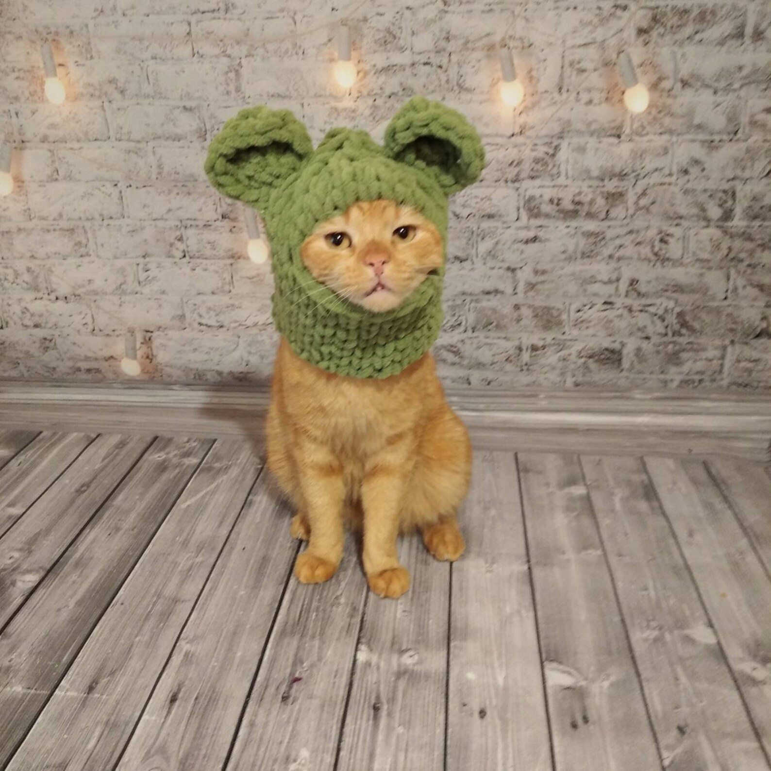 Balaclava With Ears for Cat Winter Hat Balaclava for Pets Etsy