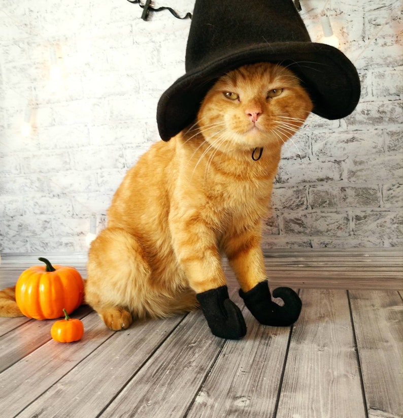 Witch Socks for Cat  Cat Halloween Costume  Socks For Cat  image 1