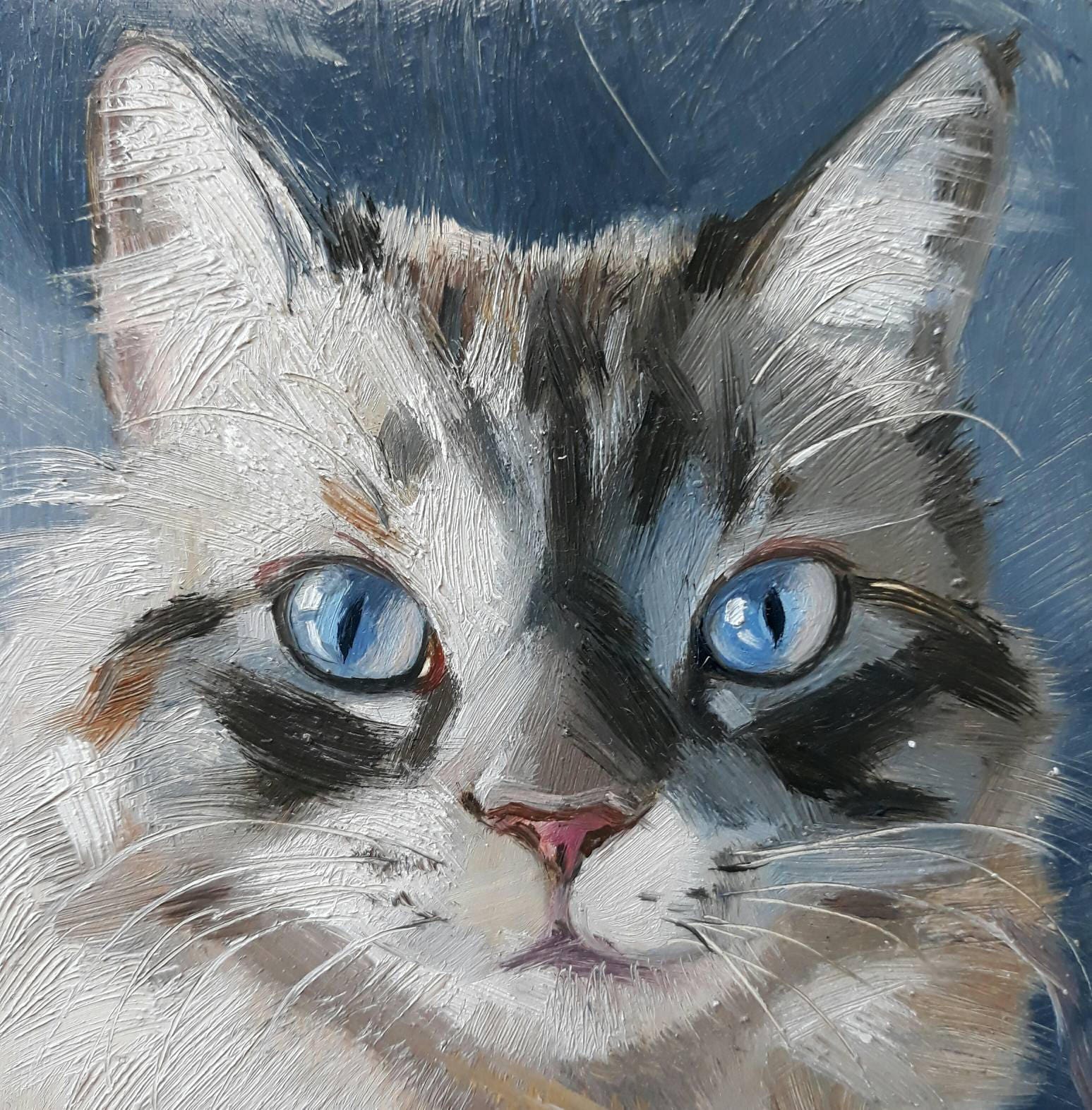 Download Blue eyes cat oil painting original art on wood custom cat ...
