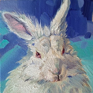 Bunny painting original oil framed 4x4, Small framed art white rabbit artwork turquoise Custom pet portrait animal oil painting