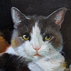 Retrato de mascota personalizado pintura de gato pintura al óleo original enmarcado 4x4, arte pequeño enmarcado arte gris blanco, retrato de gato de regalo fotográfico para el propietario
