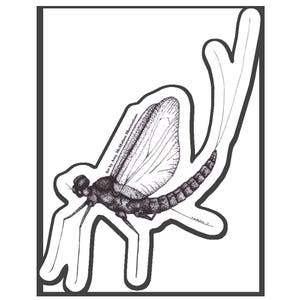 Mayfly Sticker