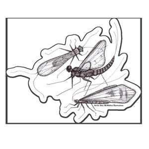 Triple Bug Sticker