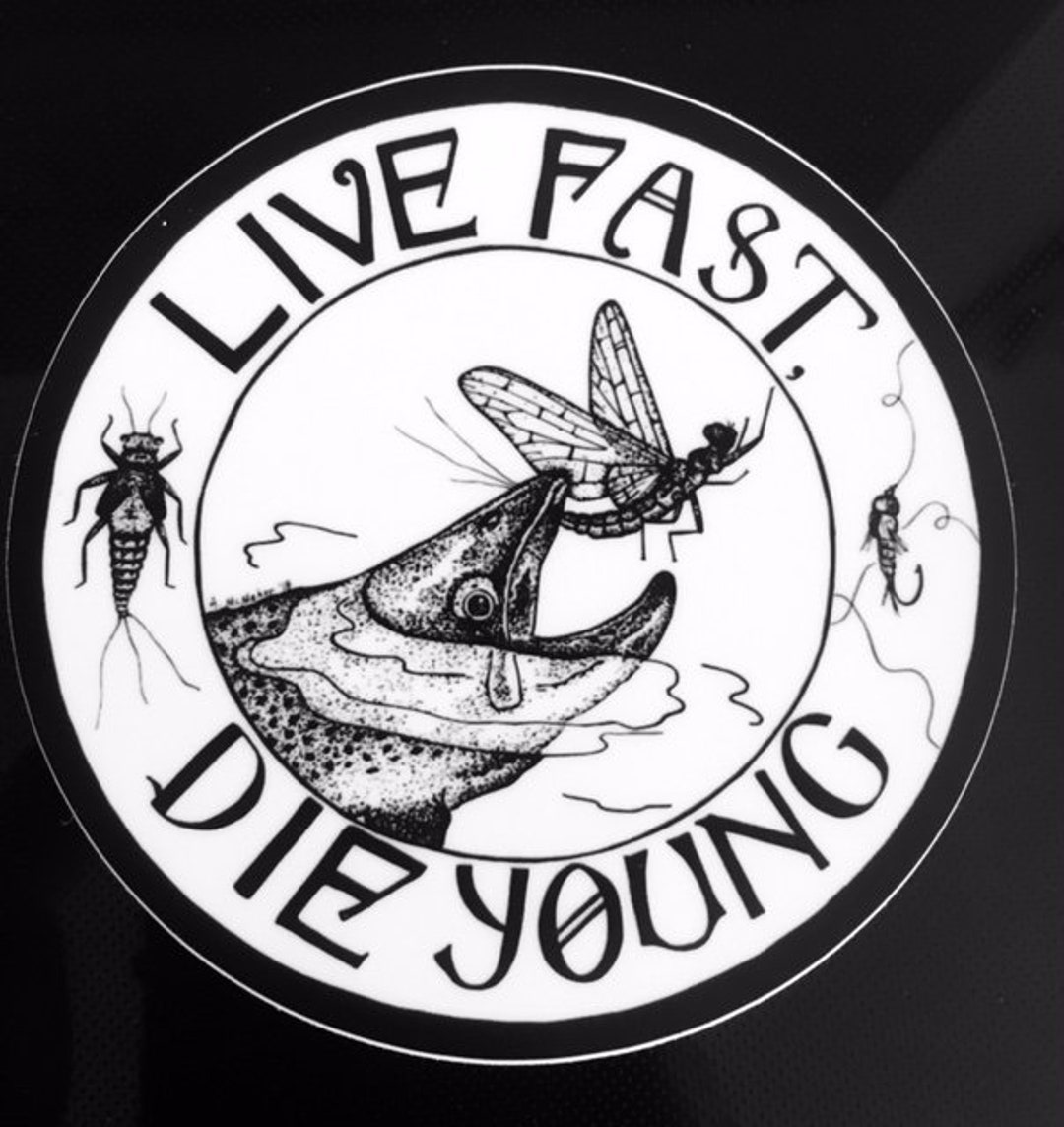 アート・デザイン・音楽 LIVE FAST DIE YOUNG Live Fast, Die Young EP | Christ | GESTALT.PROMO