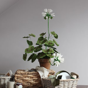 Papier blanc standard Géranium / Premier anniversaire / Fête des Mères / Cadeau fleur de jardin / Fleurs en papier / Fleurs en pot / Fleurs en papier crêpe