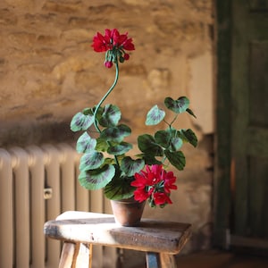 Geranio de papel carmesí en maceta de terracota: decoración de jardín inglés