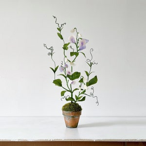 Pisello odoroso di carta / Fiori di carta / Piante di carta / Regalo di fiori da giardino / Fiori di carta crespa / Fiori in vaso / Primo anniversario / Regalo da giardino