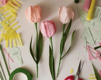 DIY Paper Tulip Craft Kit: Romantic Pink Paper Flower