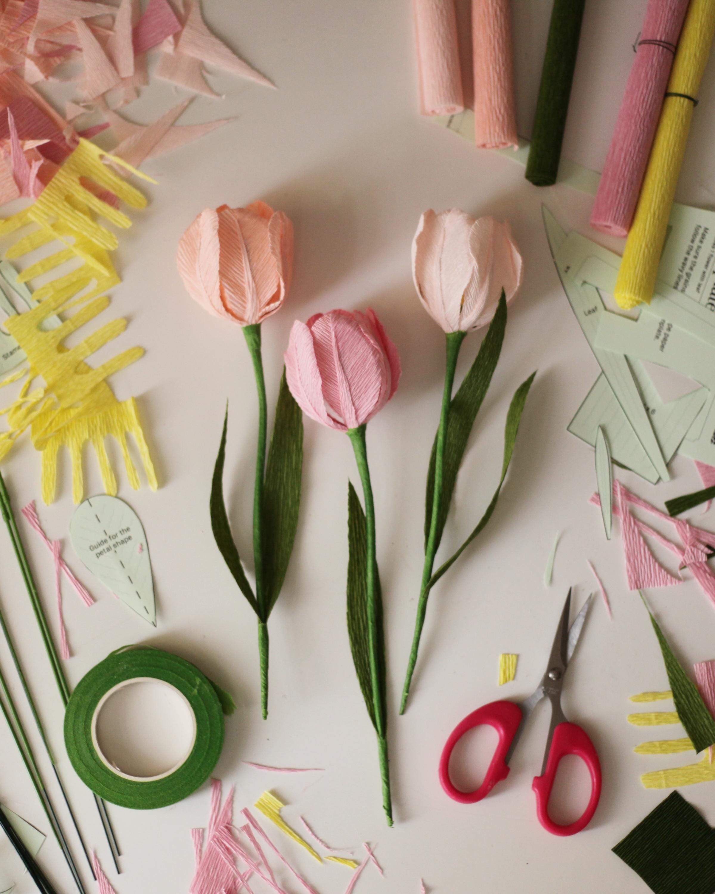 DIY Paper Tulip Craft Kit: Romantic Pink Paper Flower