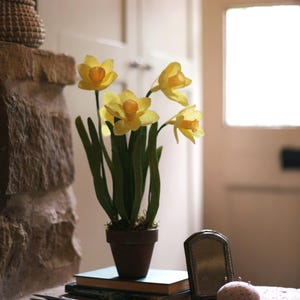 Crepe Paper Daffodils in Terracotta Pot, First Anniversary Gift image 7