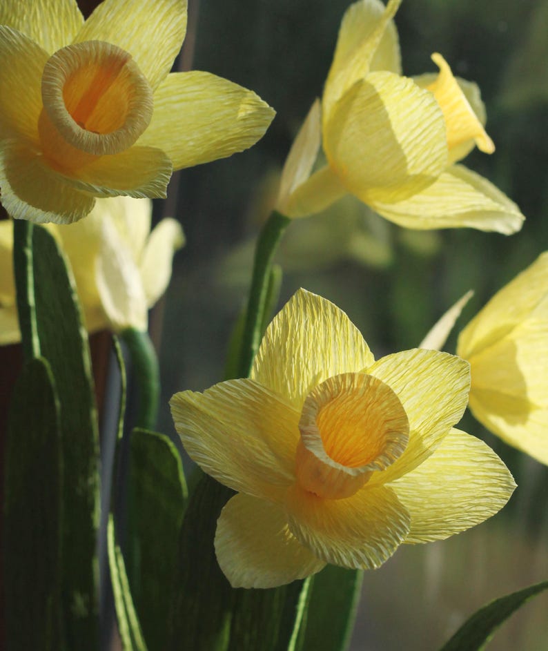 May include: A bouquet of yellow paper daffodils with green stems and leaves. The daffodils are made of crinkled paper and have a realistic appearance.
