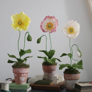 Papaveri di carta / Papaveri islandesi di carta / Primo anniversario / Fiori di carta / Regalo per giardino fiorito / Fiori di carta crespa / Regalo per la festa della mamma