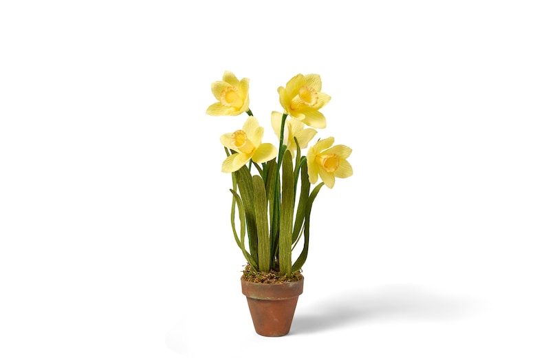 Crepe Paper Daffodils in Terracotta Pot, First Anniversary Gift image 10
