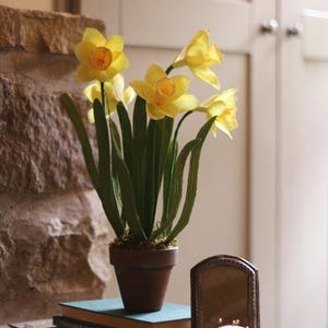Crepe Paper Daffodils in Terracotta Pot, First Anniversary Gift image 6