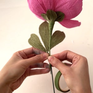 May include: A hand is holding a pink paper flower with green paper leaves and securing the leaves to the stem with green floral tape.