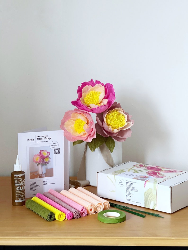 May include: A paper flower craft kit with instructions, crepe paper, floral wire, and glue. The kit includes everything needed to make your own paper peonies. The kit is packaged in a white box with a floral design.