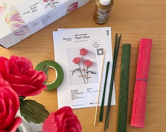 DIY Paper Rose Craft Kit: Italian Crepe Paper Flowers