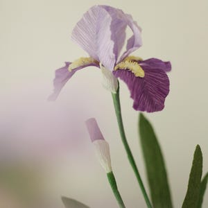 Iris di carta / Fiori di carta / Piante di carta / Piante in vaso / Primo anniversario / Festa della mamma / Fiori di carta crespa / Regalo di fiori da giardino