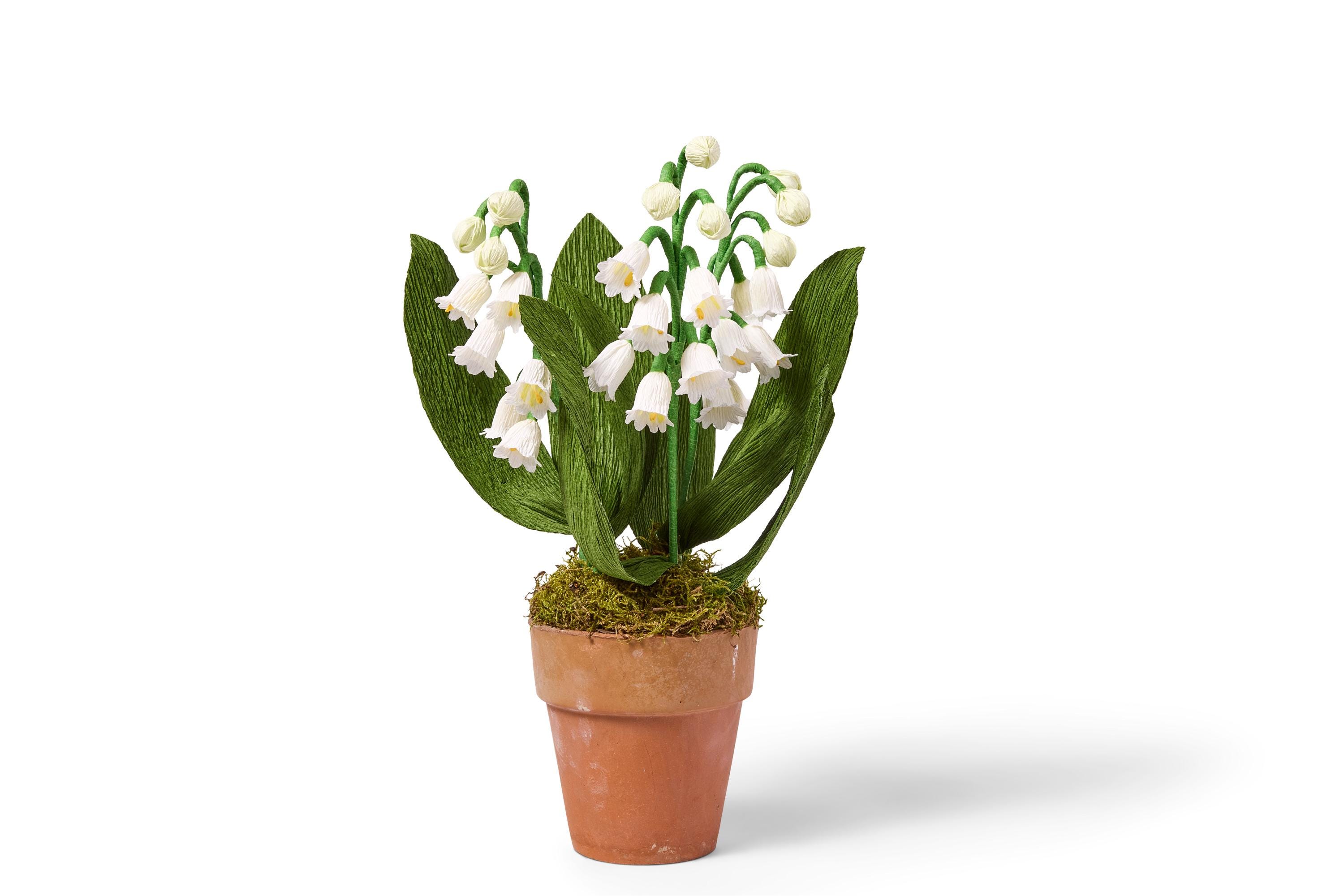 Handcrafted Crepe Paper Lily of the Valley in Terracotta Pot - Etsy