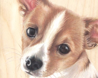 chihuahua painting/ pet portrait / dog drawing