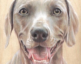 weimaraner / dog art / custom pet portrait