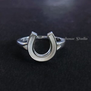 May include: A silver horseshoe ring. The horseshoe is a popular symbol of good luck.