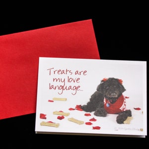Valentinstag-Grußkarte mit Sophie schwarzer Pudel Mix Hund--Liebe Sprache behandelt