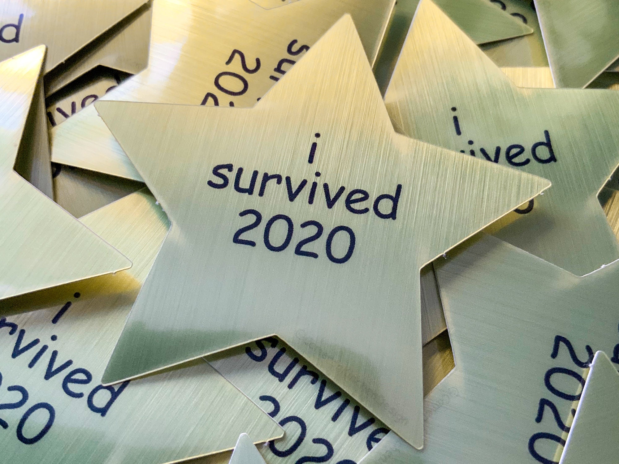 I Survived 2020 Golden Brushed Aluminum Star Stickers, Congratulations Gold Star Participation Award, 2020 Dumpster Fire Meme Sticker