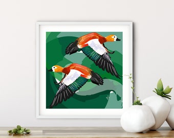 Digitaler Download | Vogel Druck | Home Decor Print | Ruddy Shelduck | Vogel Kunst