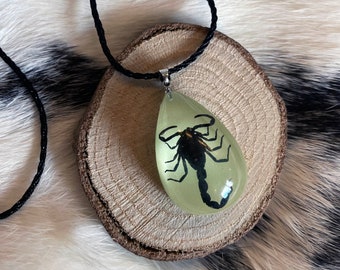 Glow in the Dark Scorpion Cord Necklace