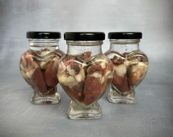 Hearts in a Small Heart Jar Wet Specimen