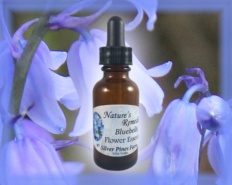 Bluebells Flower Essence Nature's Remedies Etsy