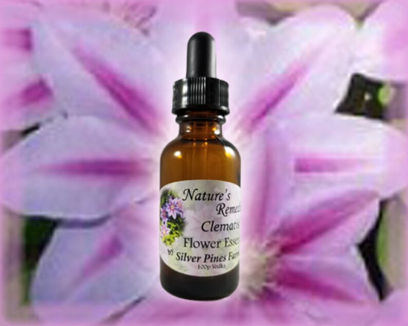 Clematis Flower Essence Nature's Remedies Etsy