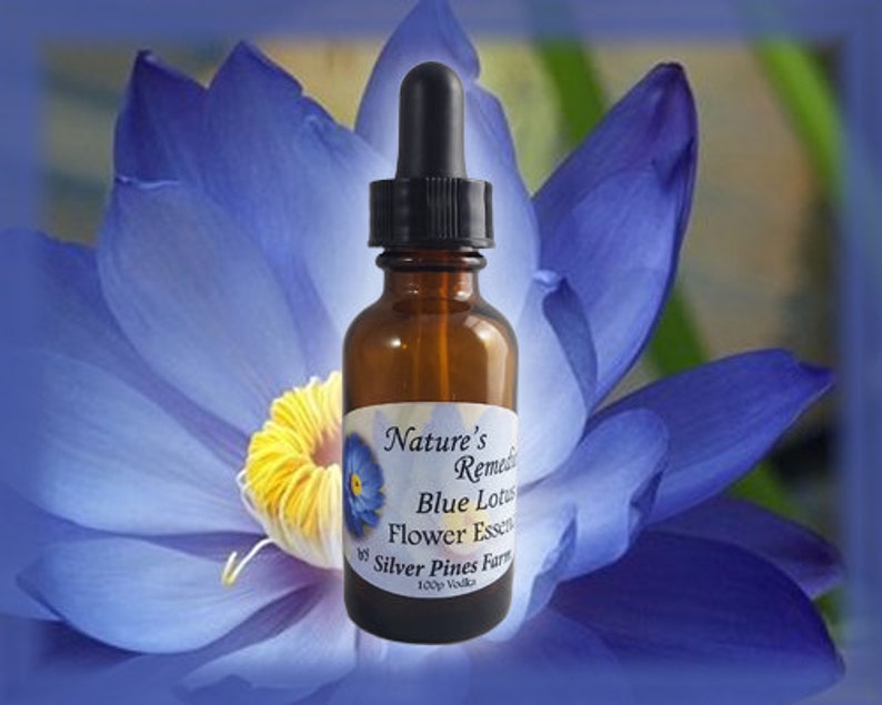 Blue Lotus Flower Essence Nature's Remedies Etsy