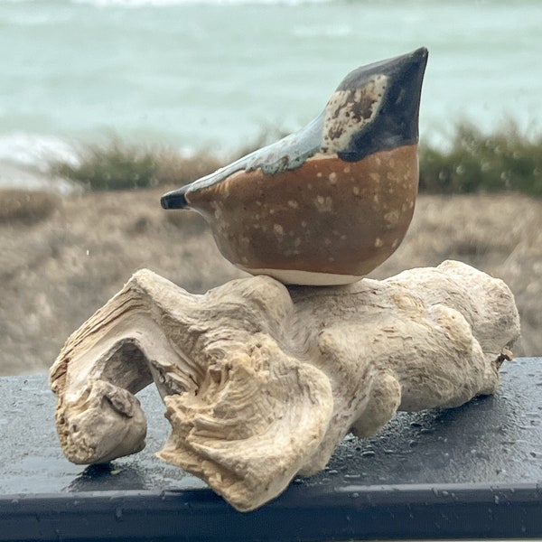 Ceramic bird perched on driftwood. Pottery, home decor, unique, one-of-a-kind.
