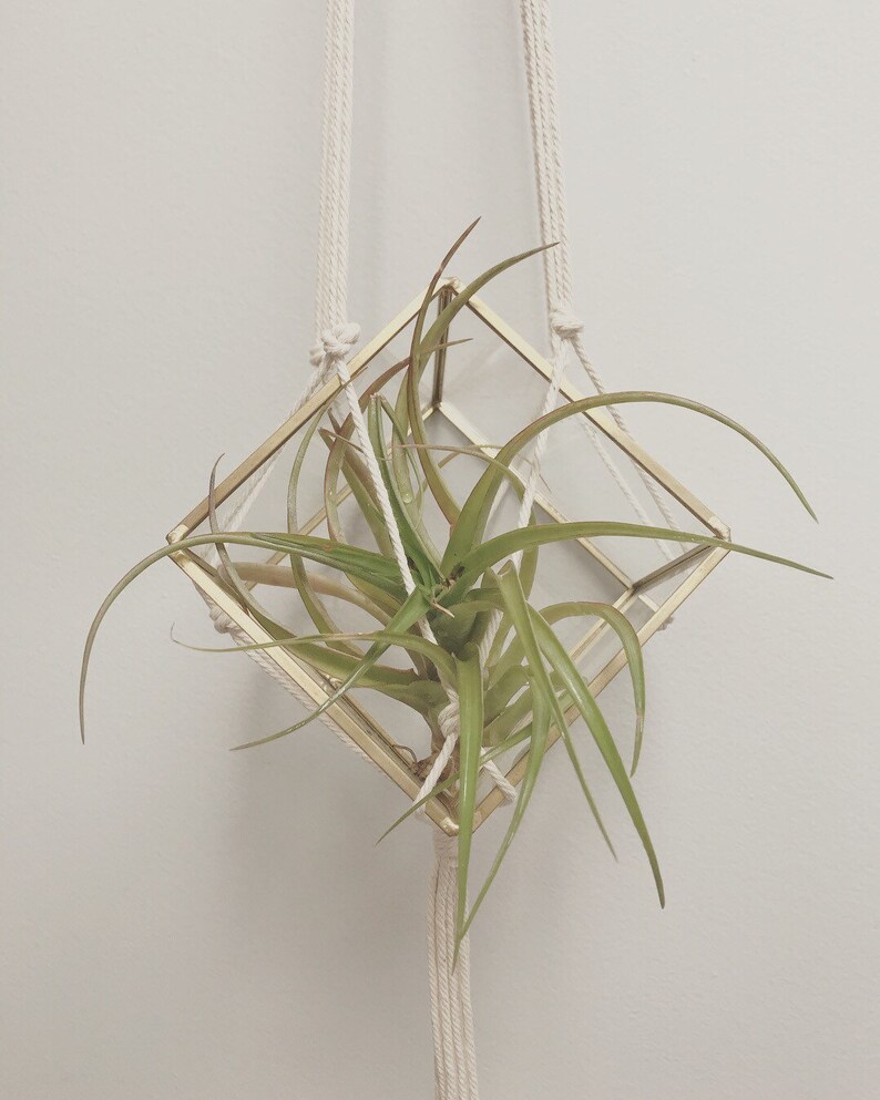 Medium modern macram\u00e9 plant hanger.