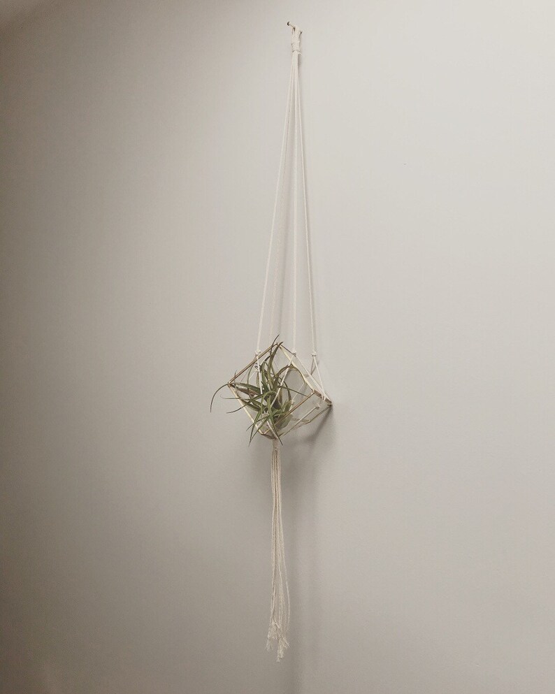 Medium modern macram\u00e9 plant hanger.