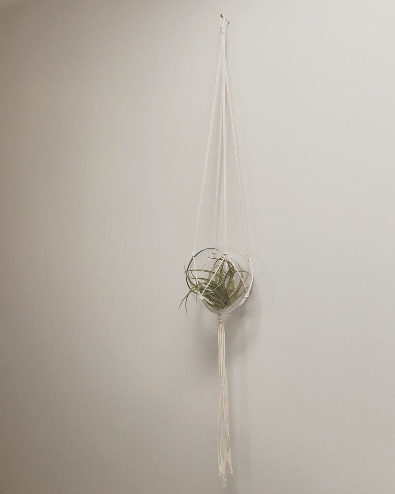 Medium modern macram\u00e9 plant hanger.