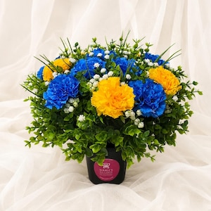 May include: A floral arrangement featuring vibrant blue and yellow carnations interspersed with small white baby's breath and green foliage. The flowers are contained in a black pot with a pink circular label that reads Sianee's Sea Flowers.
