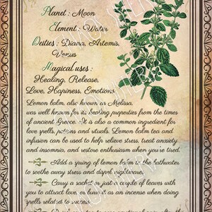 Printable Herbs Book of Shadows Pages Set 1 Herbs & Plants - Etsy