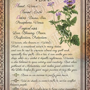 Printable Herbs Book of Shadows Pages Set 2 Herbs & Plants - Etsy