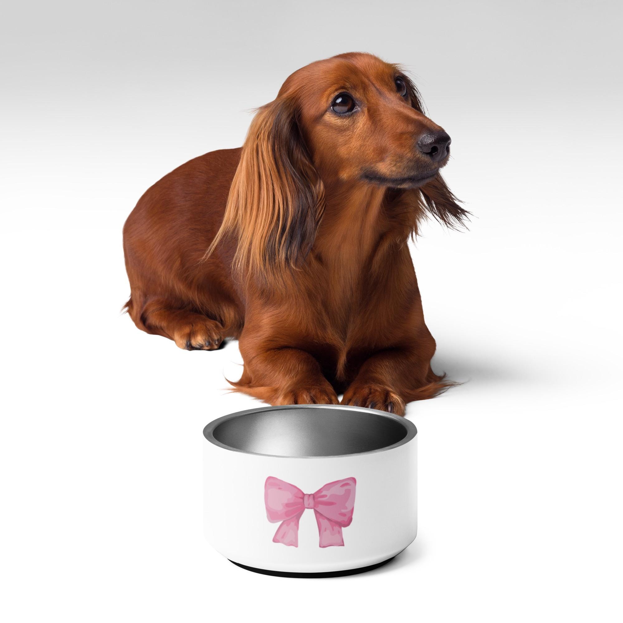 Girly dog bowls sale