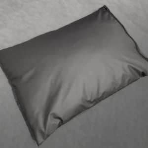 May include: A black, zippered pillowcase made of a water-resistant material.