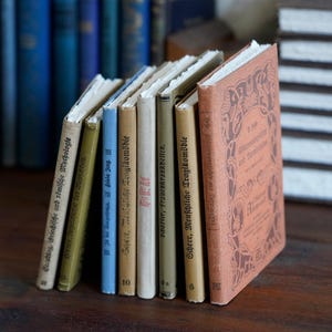 Puede incluir: Una colección de libros antiguos de tapa dura con títulos alemanes. Los libros están dispuestos verticalmente con los lomos hacia afuera. Los libros están encuadernados en varios colores, incluyendo marrón, verde, azul y beige. Los títulos incluyen "Scherr, Menschliche Tragikomödie" y "Schwarzer, Frauenkrankheiten."
