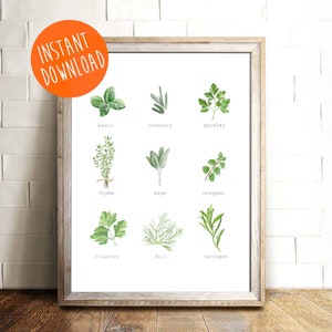 DIGITAL DOWNLOAD - Printable Herb Art, Printable Kitchen Art, Kitchen ...