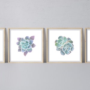 Succulent Prints Set of 4, Four Succulents Square Printable Art, Gallery Wall, Echeveria Botanicals, Instant Download Desert Plants