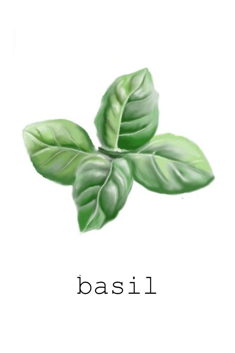 DIGITAL DOWNLOAD Set of 9 Herb Prints Printable Herbs